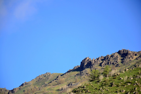 荒山野岭