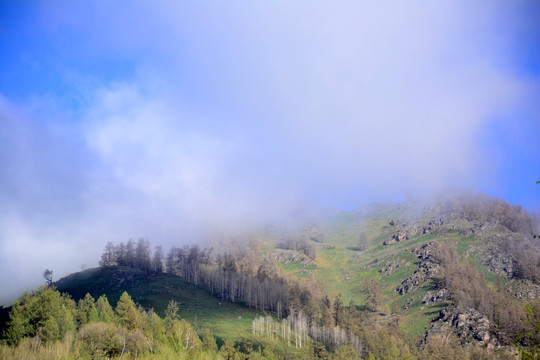 阿尔泰山风光