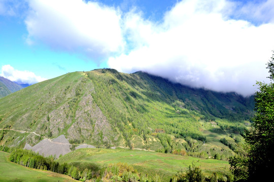 高山森林