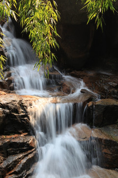 湖南郴州莽山