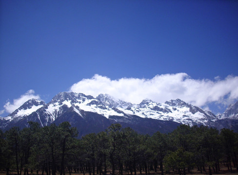 雪山森林