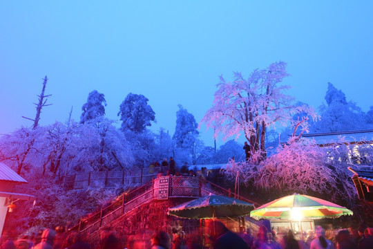 峨眉山雪景 雷洞坪