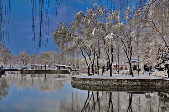 兴隆公园雪景