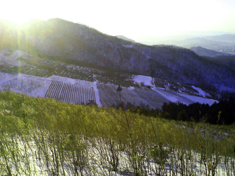 冬日 辽东山地梯田