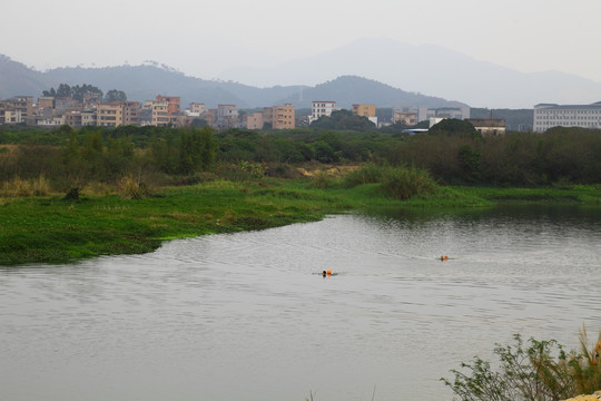 广州从化流溪河