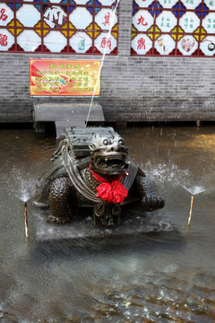龍龜