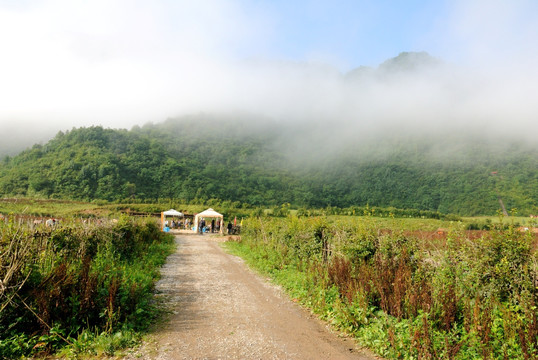 巫溪红池坝