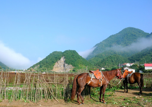 巫溪红池坝