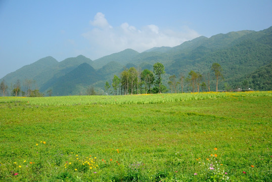 巫溪红池坝