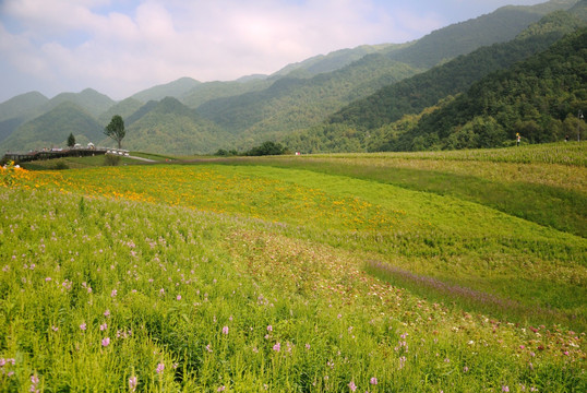 巫溪红池坝