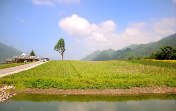 巫溪红池坝