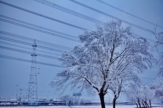 通惠河畔雪景