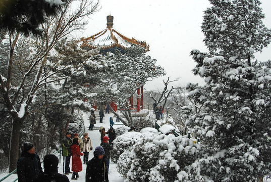 大雪中的景山公园