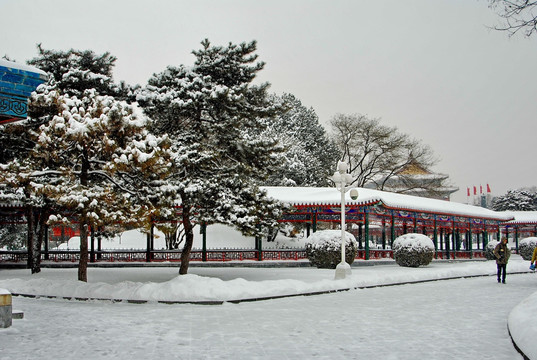 大雪后的中山公园