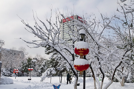 雪景