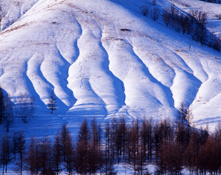 雪色山林