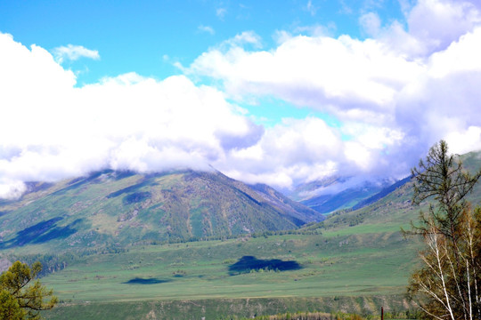 阿尔泰山风光