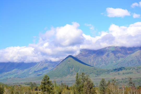 阿尔泰山