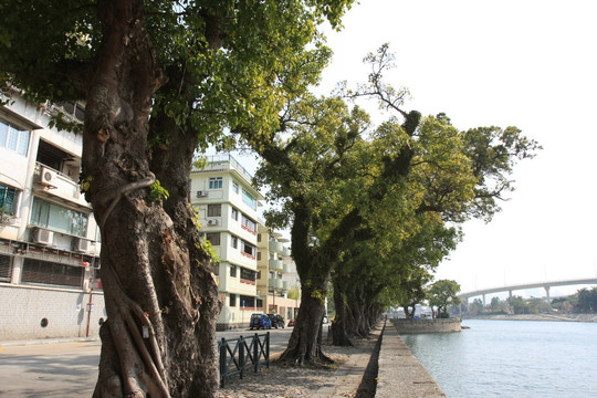 澳门街景