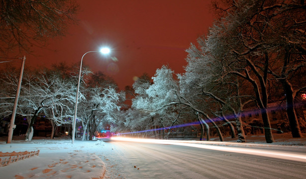 雪景