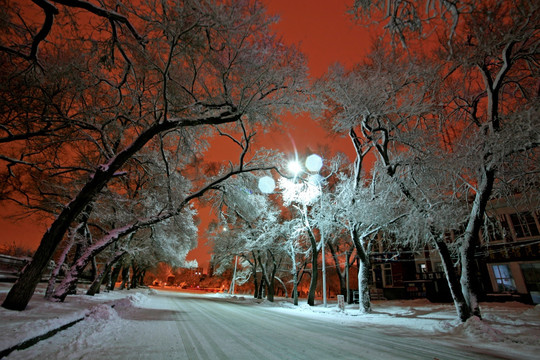 雪景