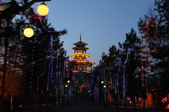 龙沙公园夜景