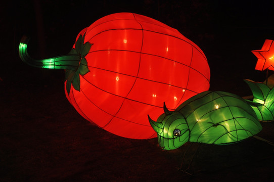 海珠湖夜景 动物灯