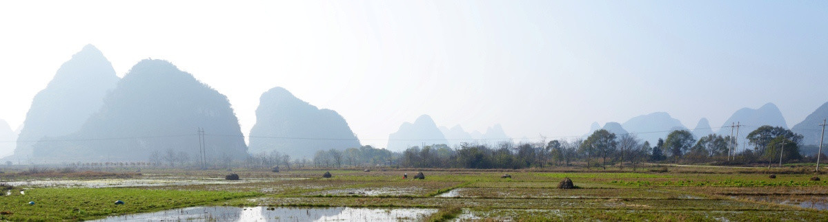 田野美景