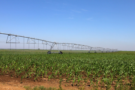 自走式喷淋机农业灌溉