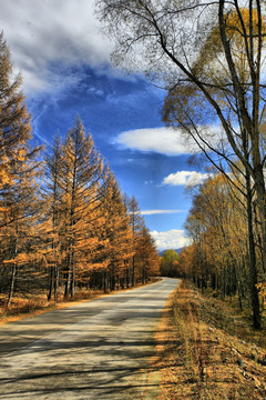 林间小路