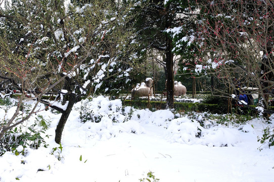 明孝陵雪景