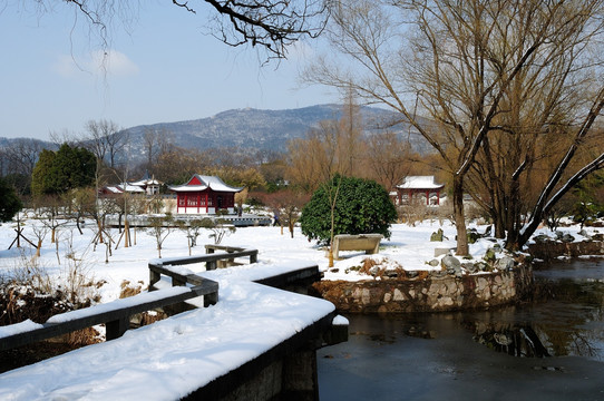 雪景