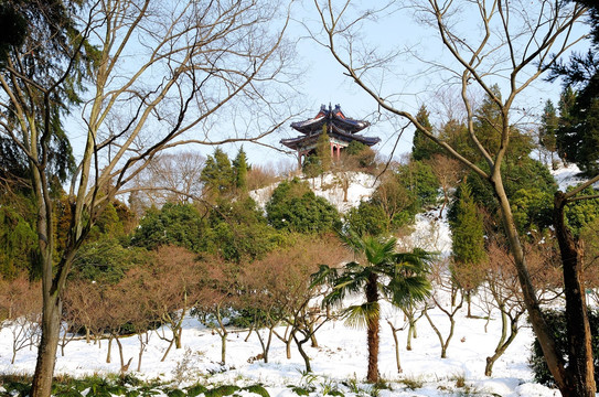 梅花山雪景