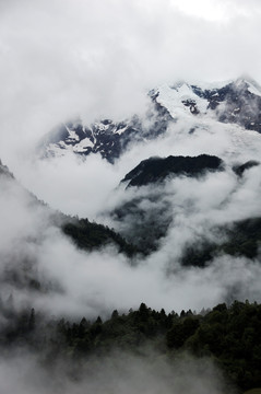 梅里雪山