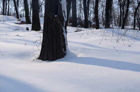 山林雪景