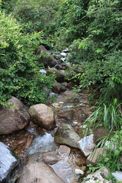 山泉 泉水 温泉