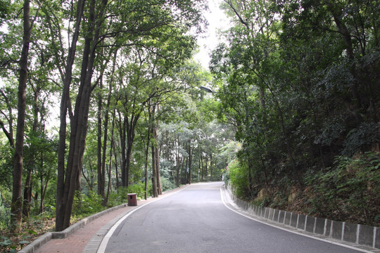 景区道路