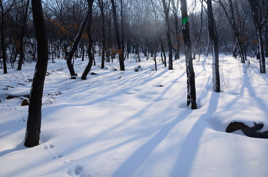 山林雪景