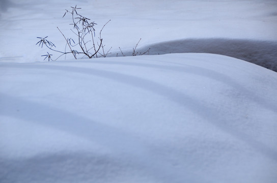 山林雪景