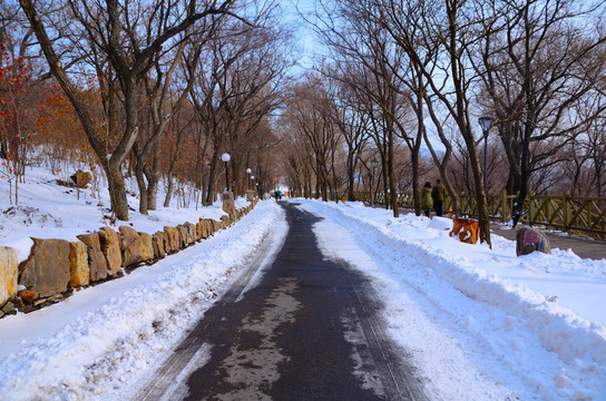 山林雪景