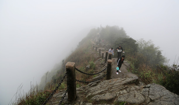 登山道