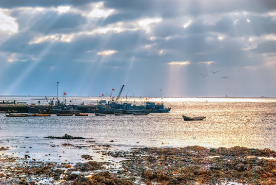 海湾的早晨