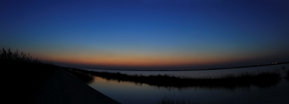 湿地全景