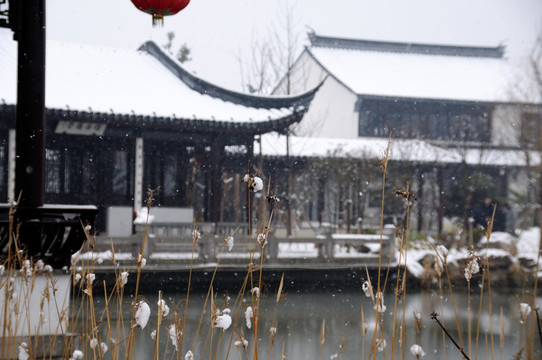 甪直雪景