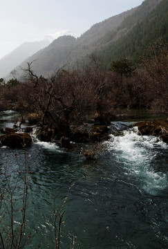 九寨沟的水