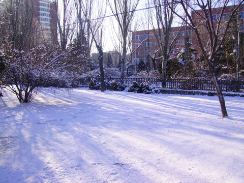 雪景