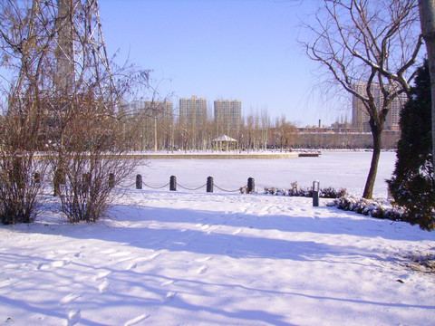 雪景