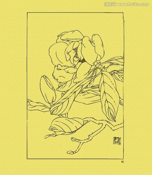 大山樸