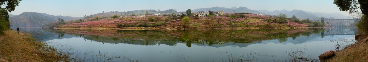 成都龙泉桃花山水全景图