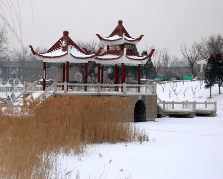 雪景